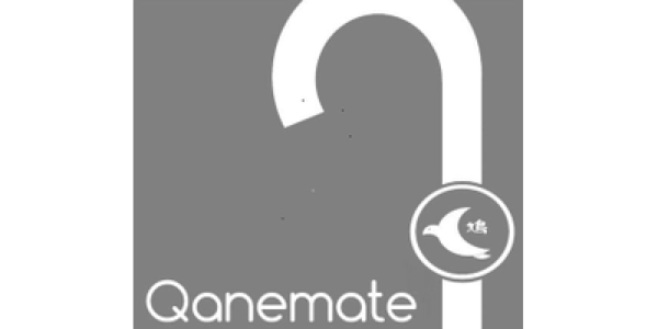 Qanemate Pte Ltd logo