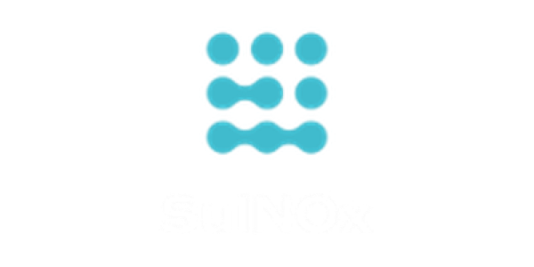 Sulnox Group PLC logo